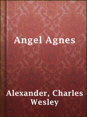 cover image of Angel Agnes